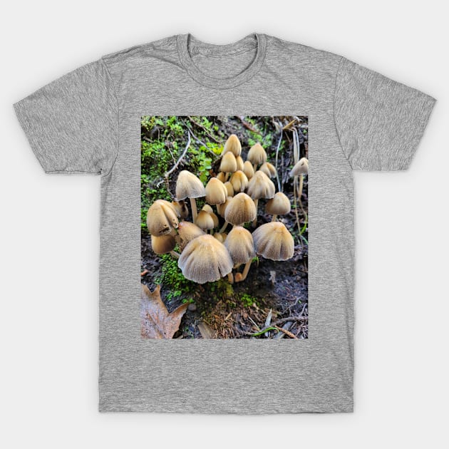 Shrooms T-Shirt by tomprice